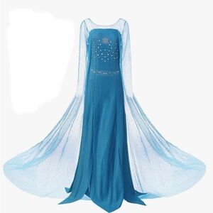 Frozen/ Snow Princess Costume. Elegant Blue Gown with Sheer Overlay. Halloween.